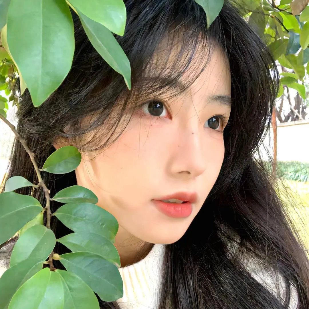 非正式会谈第八季