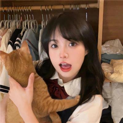 鞋猫剑客