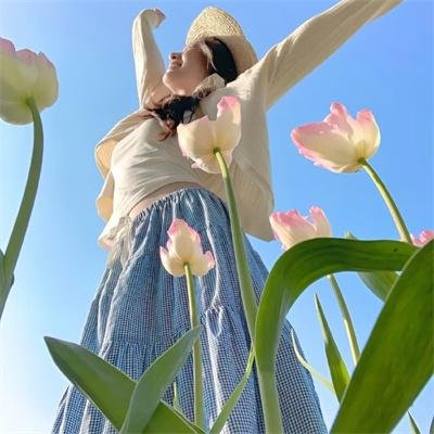 几度菊花香